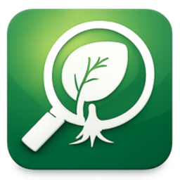 IdentifyPlantsAndTrees logo